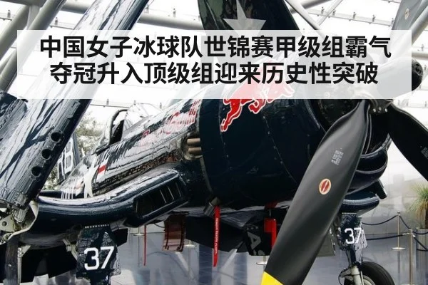 中国女子冰球队世锦赛甲级组霸气夺冠升入顶级组迎来历史性突破